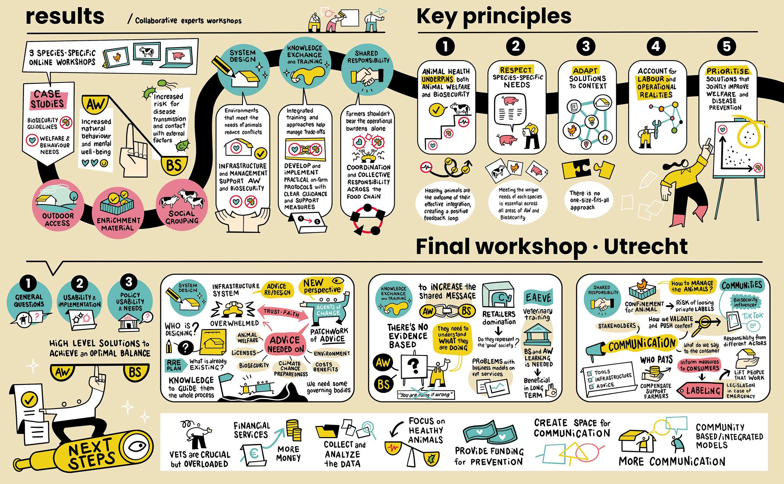 Visual thinking para cierre de proyecto de Biosecure, horizon life, en Utretch