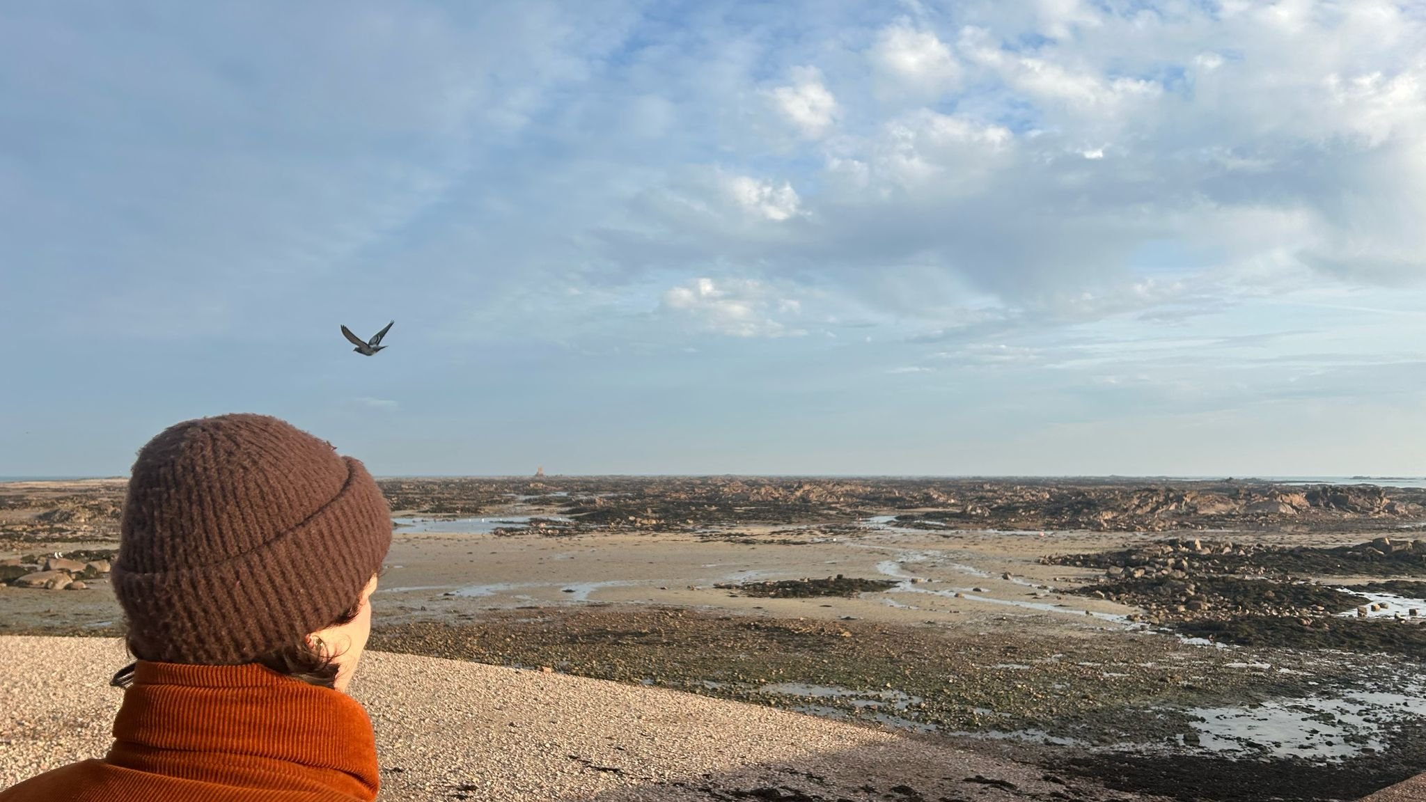 WhatsApp Image 2025-02-15 at 19.04.55.jpeg