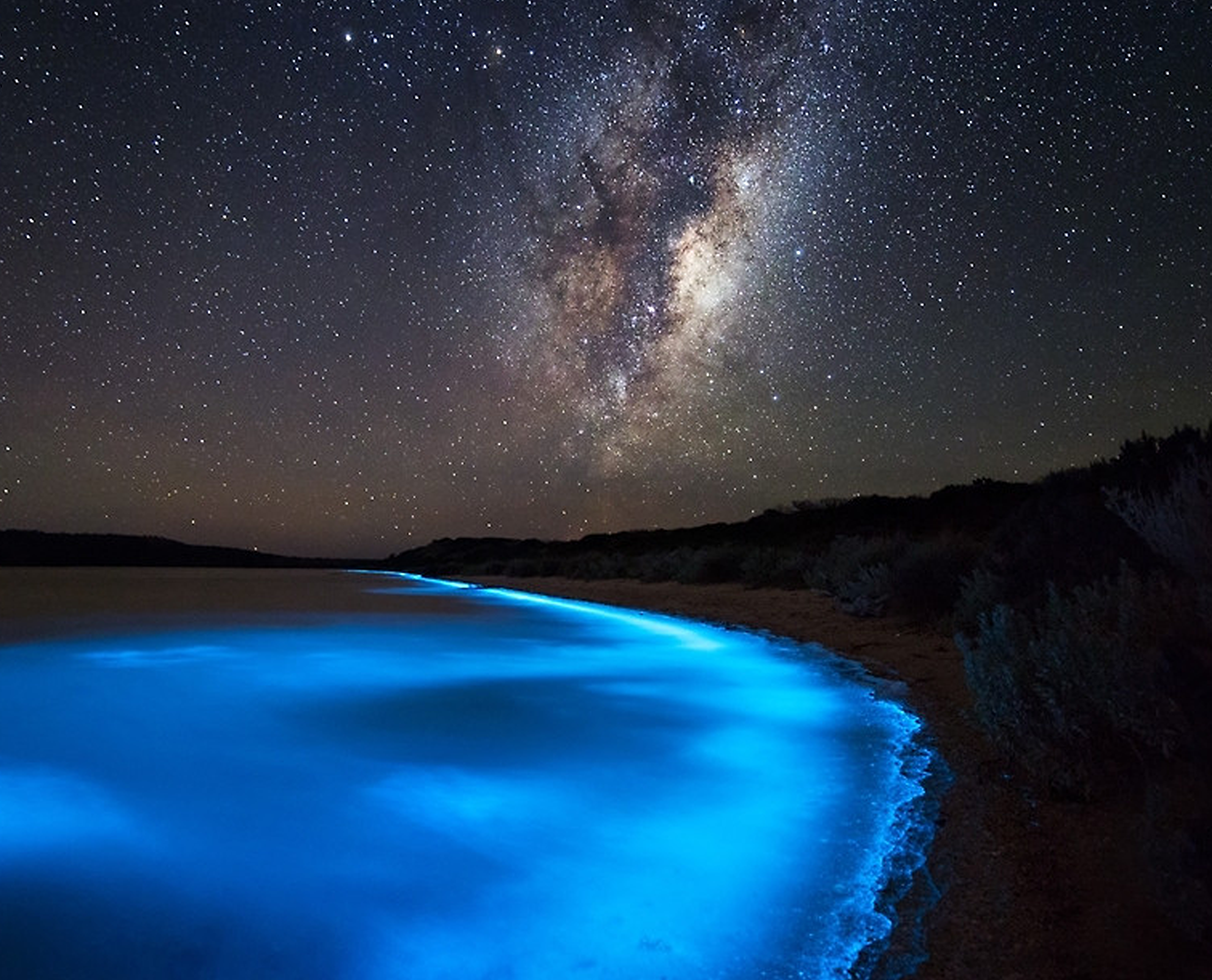 bioluminescent_puerto_rico.png