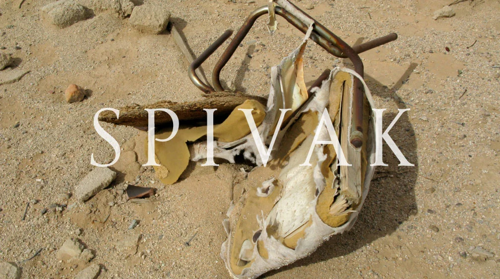 spivak.jpg