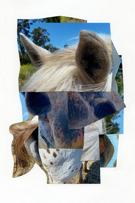 Horses_6x9_Pages_72ppi_18.jpg