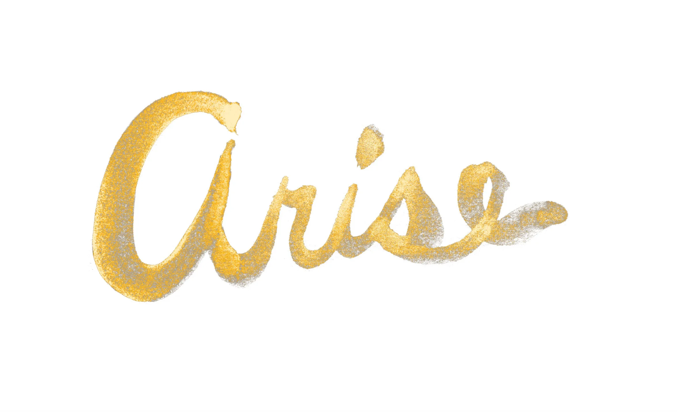 Arise Women's Leadership Conference