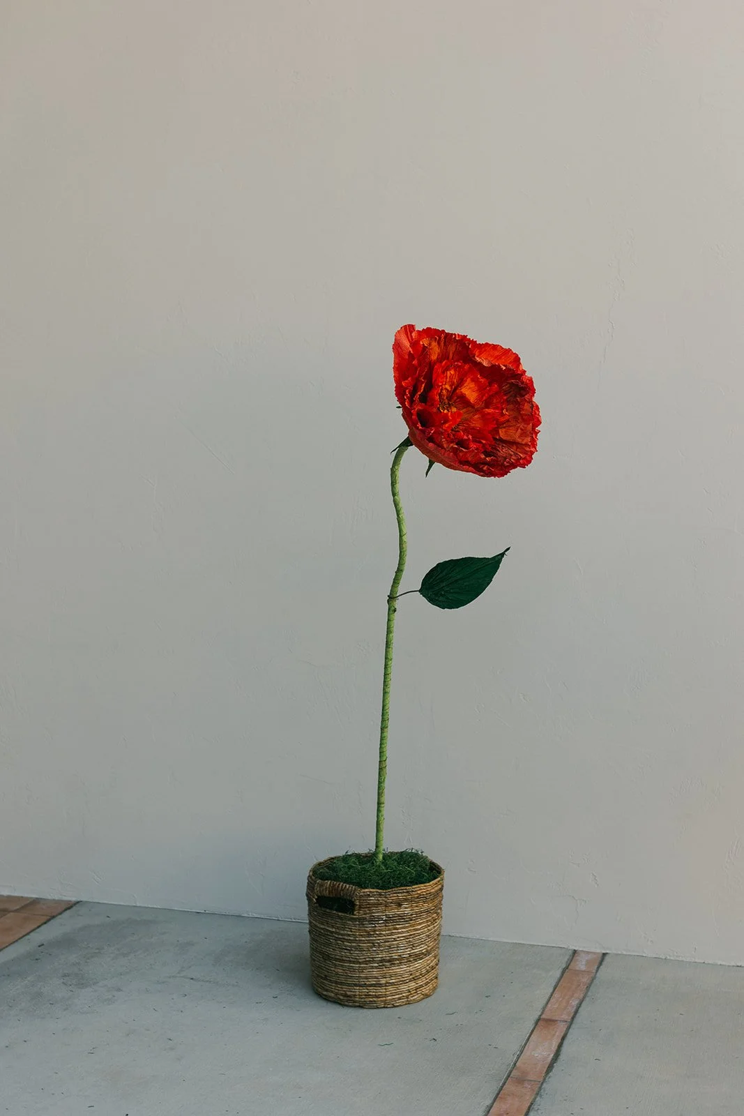 ModernRenaissance_0538.jpg