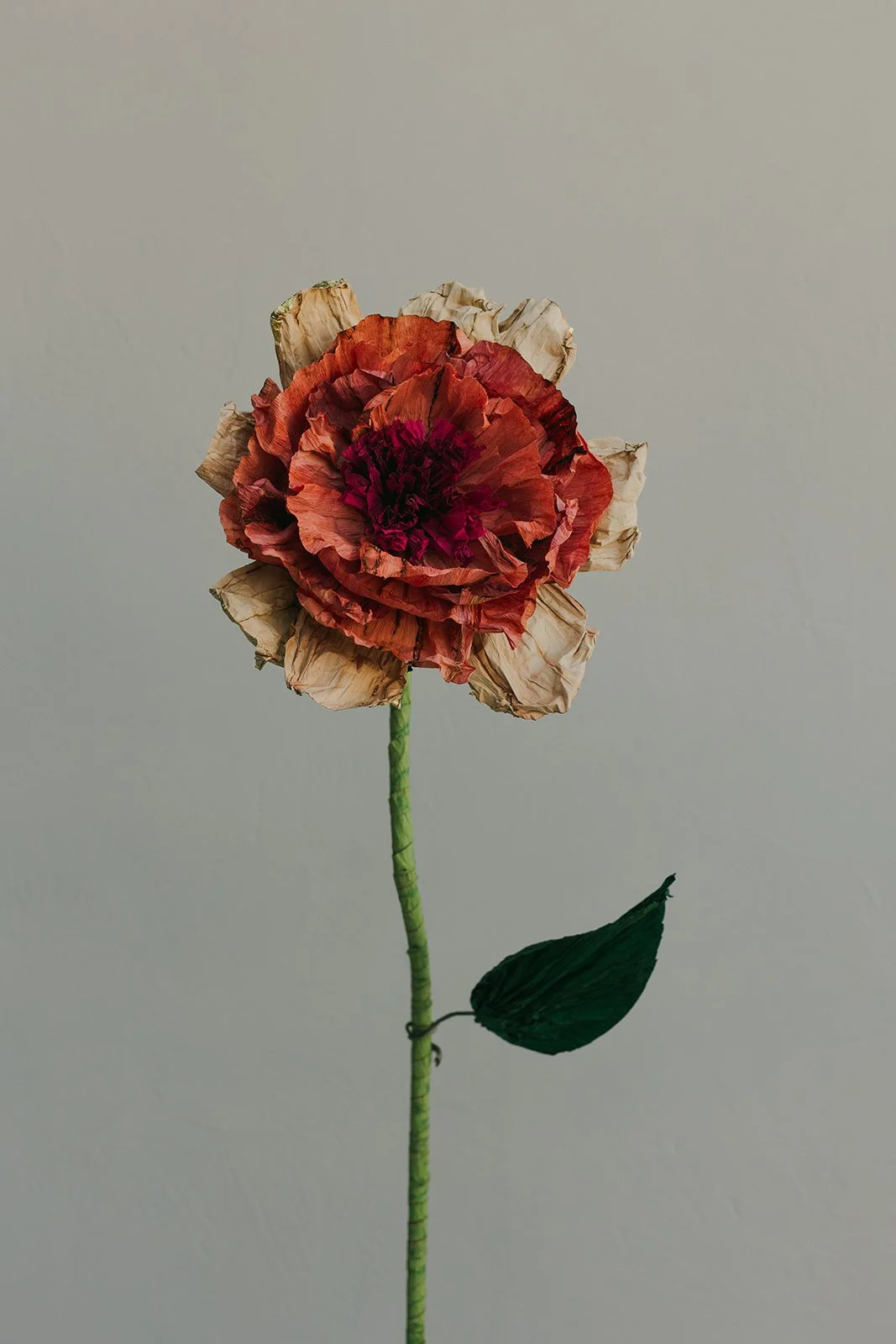 ModernRenaissance_0560.jpg