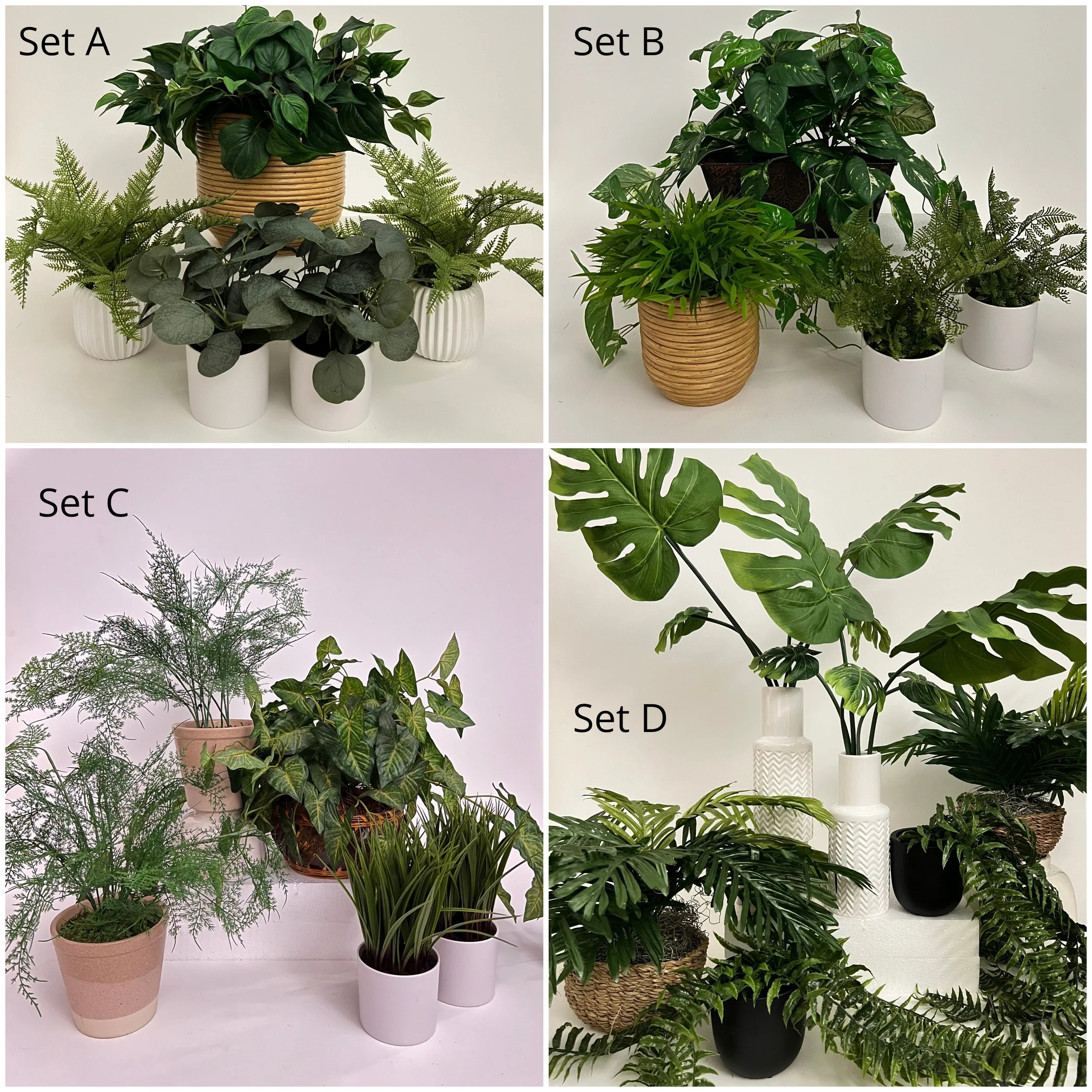 Fauxplant1.jpg