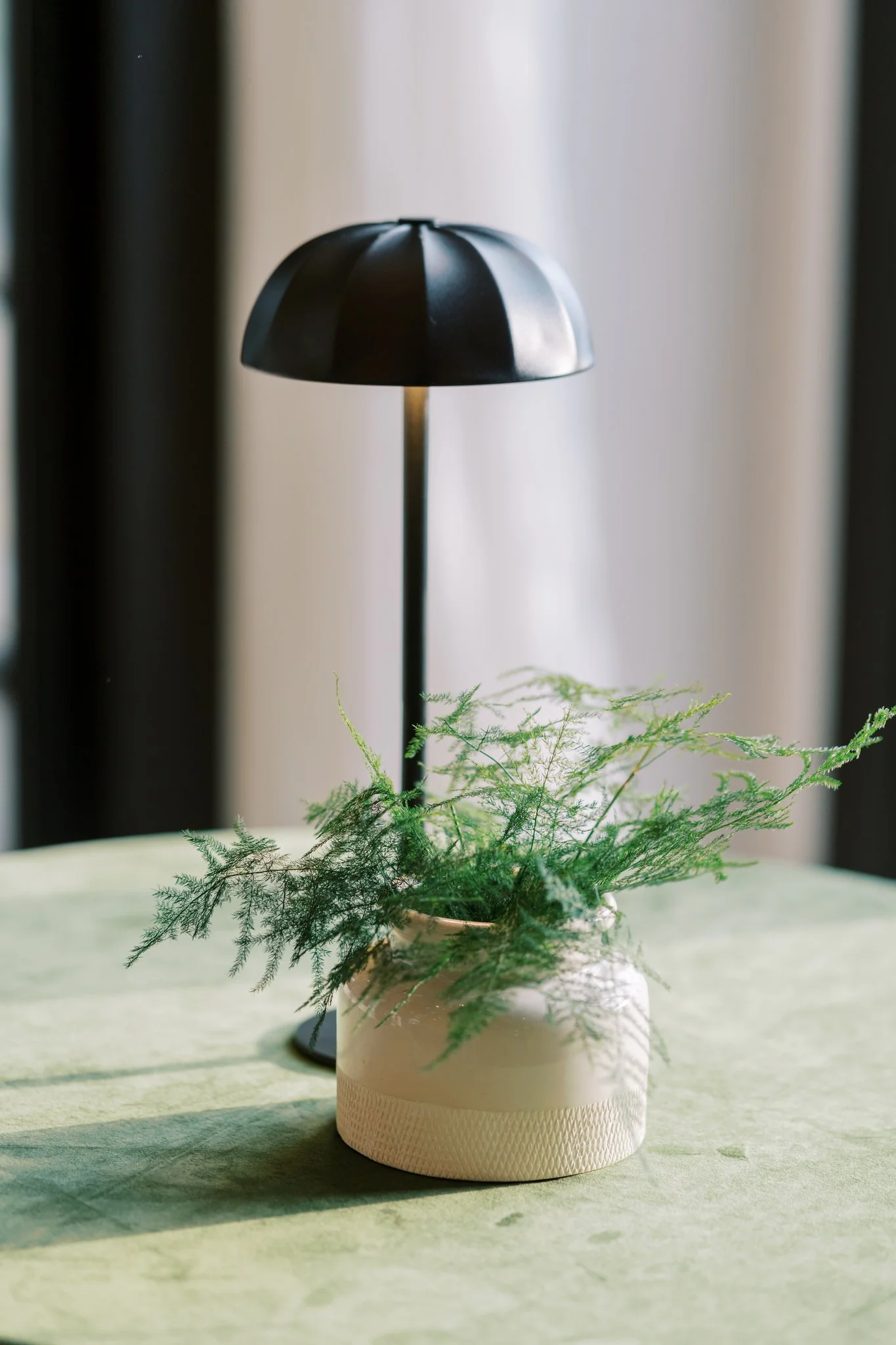 WOODLANDS I-NELYA-80_(2048).jpg