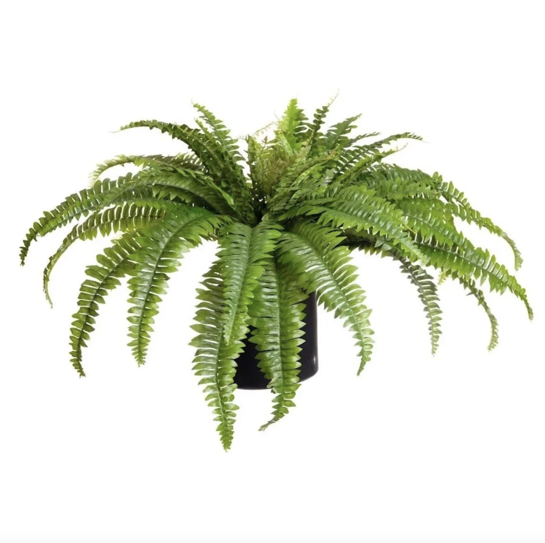 Large Faux Boston Ferns (4)
