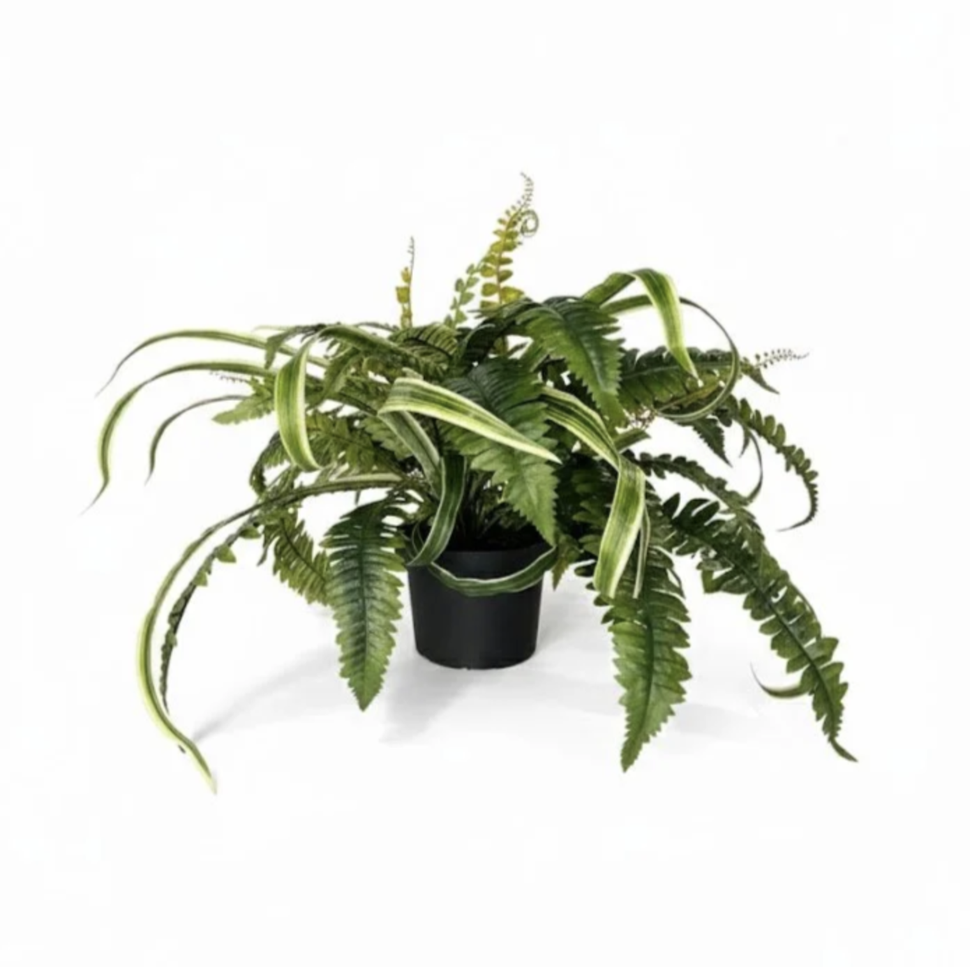 Medium Faux Boston Ferns (2)