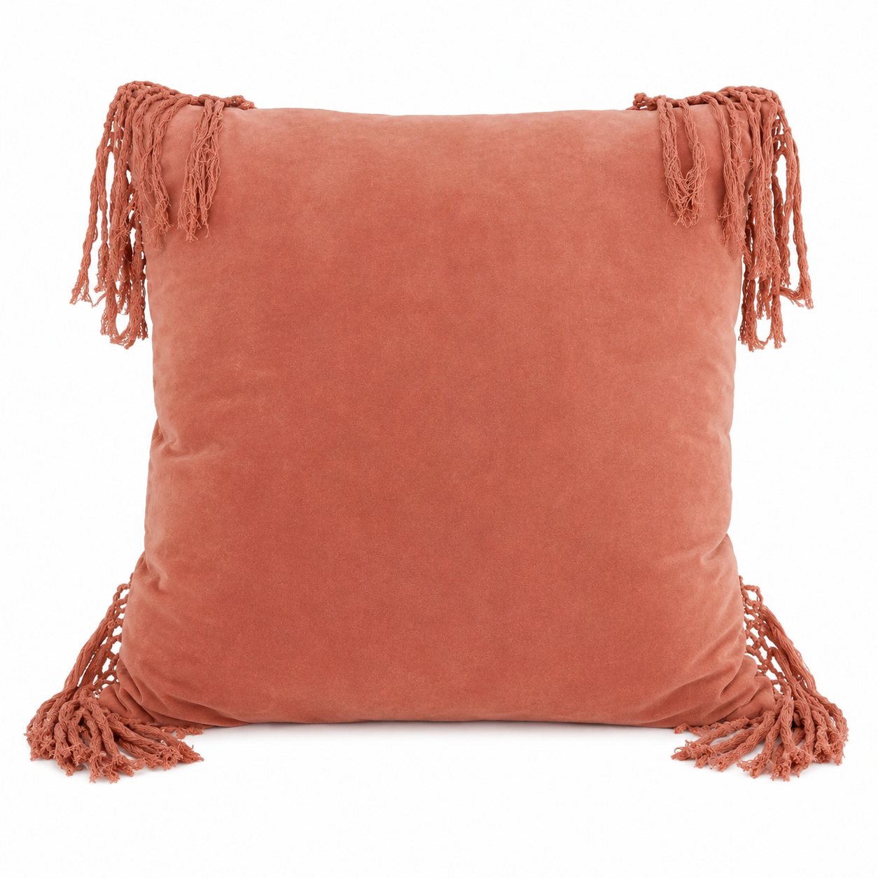 Large Salmon Fringe Pillows.png