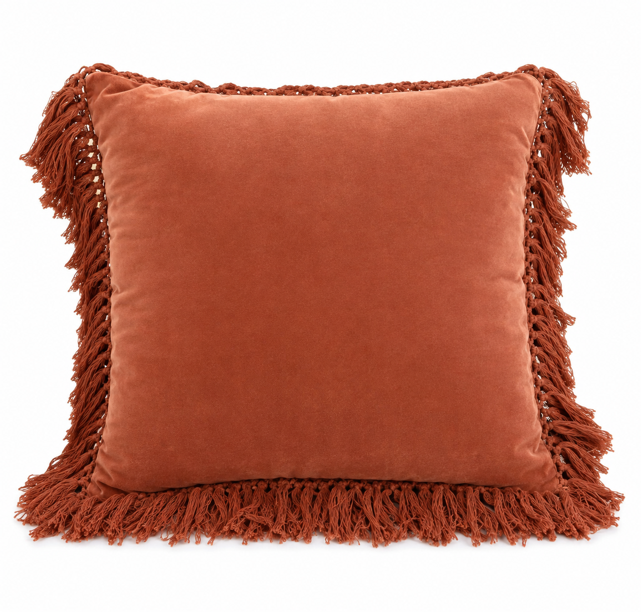 Pink Fringe Pillows.png