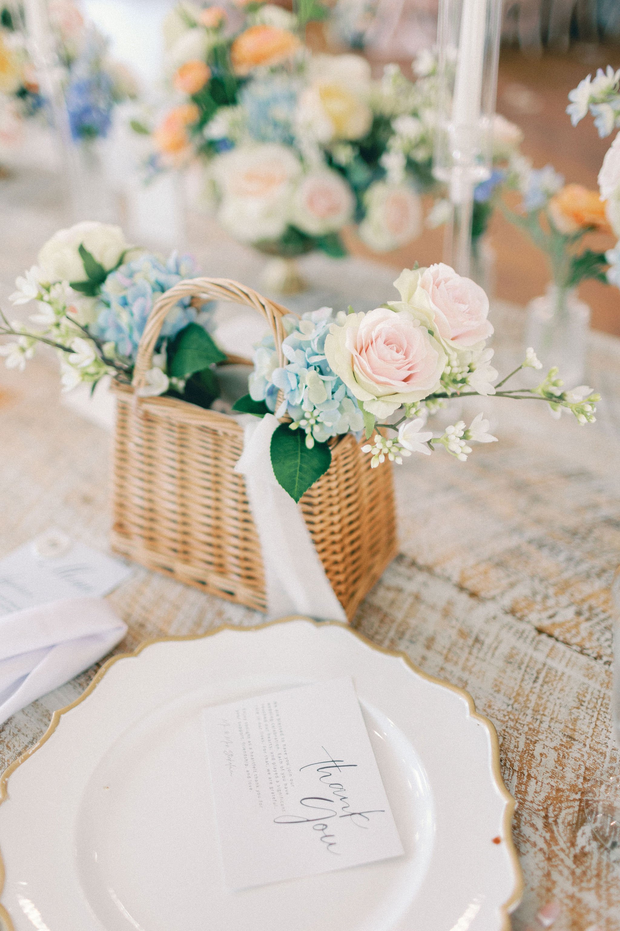 Blackberry-Ridge-Wedding-Hayley-Moore-Photography-Kristina-SP-715.jpg