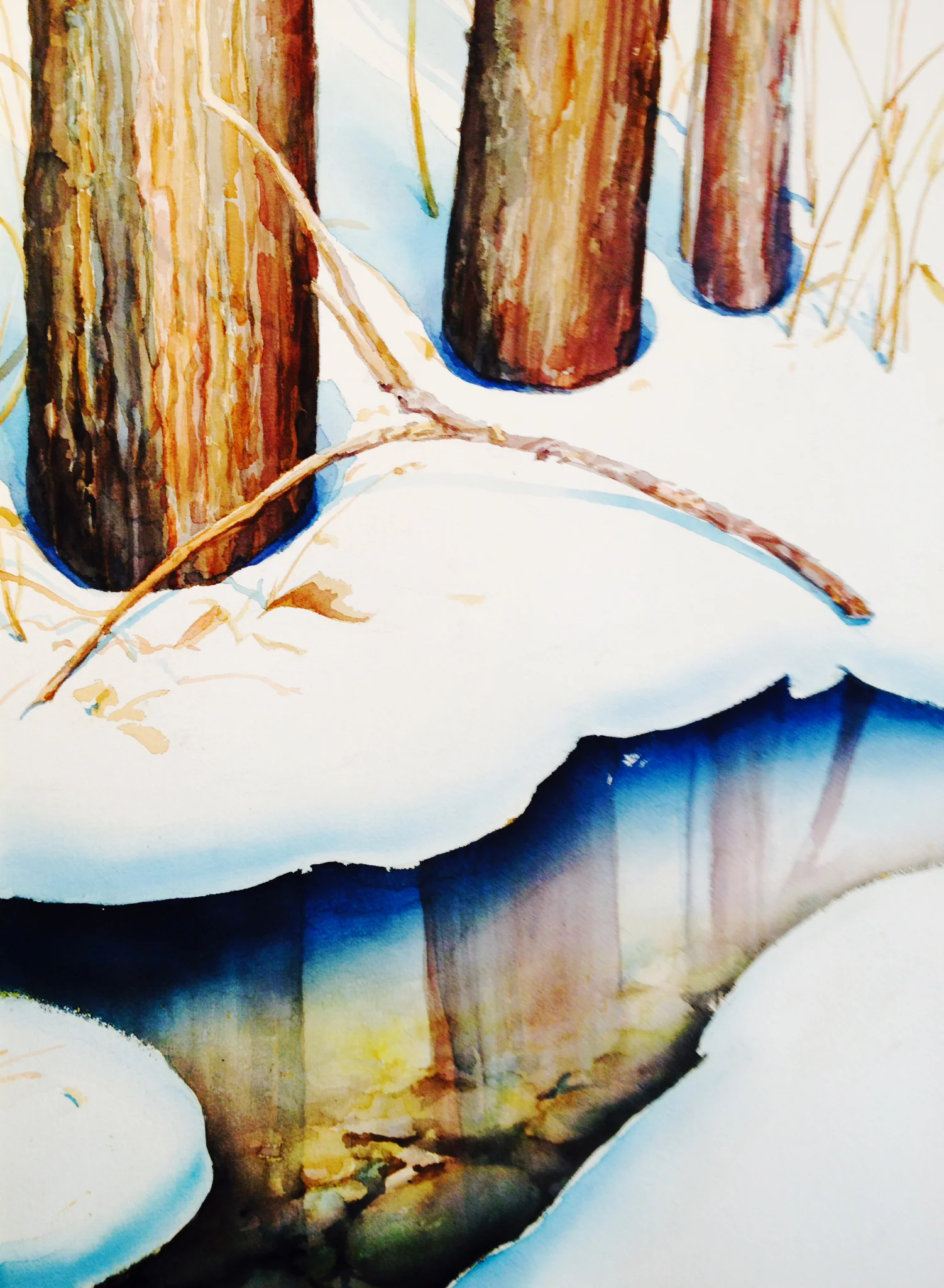 winter_trees_stream_et.jpg