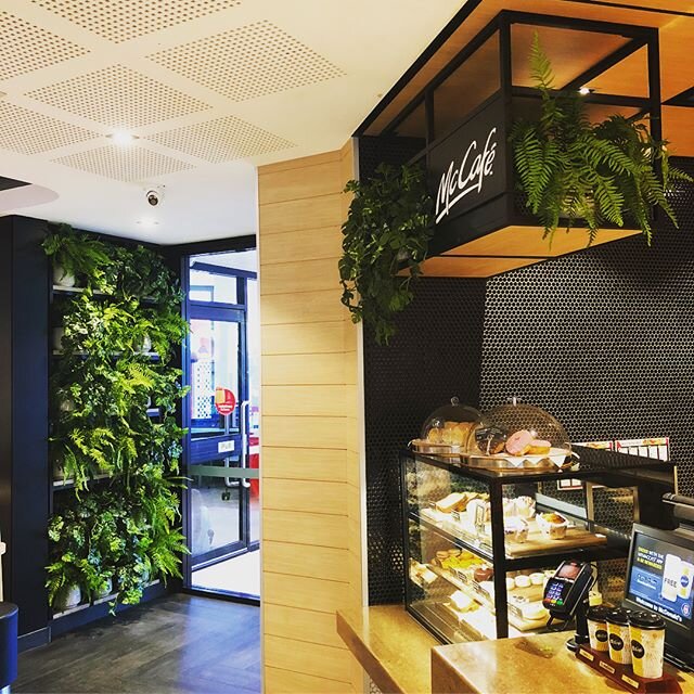 Filling @mcdonalds at Rockdale with beautiful artificial plants 🌿🌿🌿 #floral #design #creative #plant #leaf #artificial #lifelike #fern #monsteria #decorate #green #beautiful #onlythebeginning