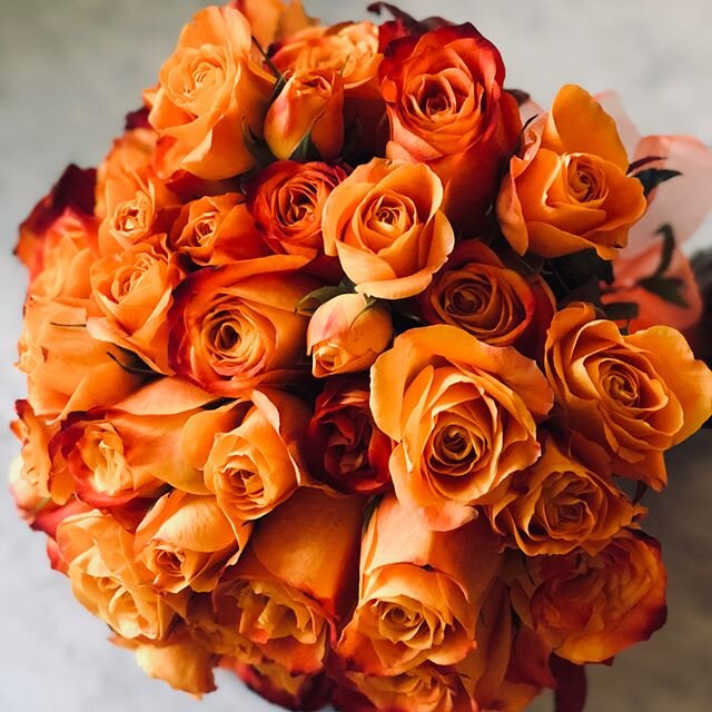 Today&rsquo;s glorious winter wedding #edenrandwick #flowers #flowershop #randwickflowers #randwickflorist #roses #orangeflowers #rosesofinstagram #weddings #flowersofinstagram #sopretty #weddingbouquet #picoftheday #follow