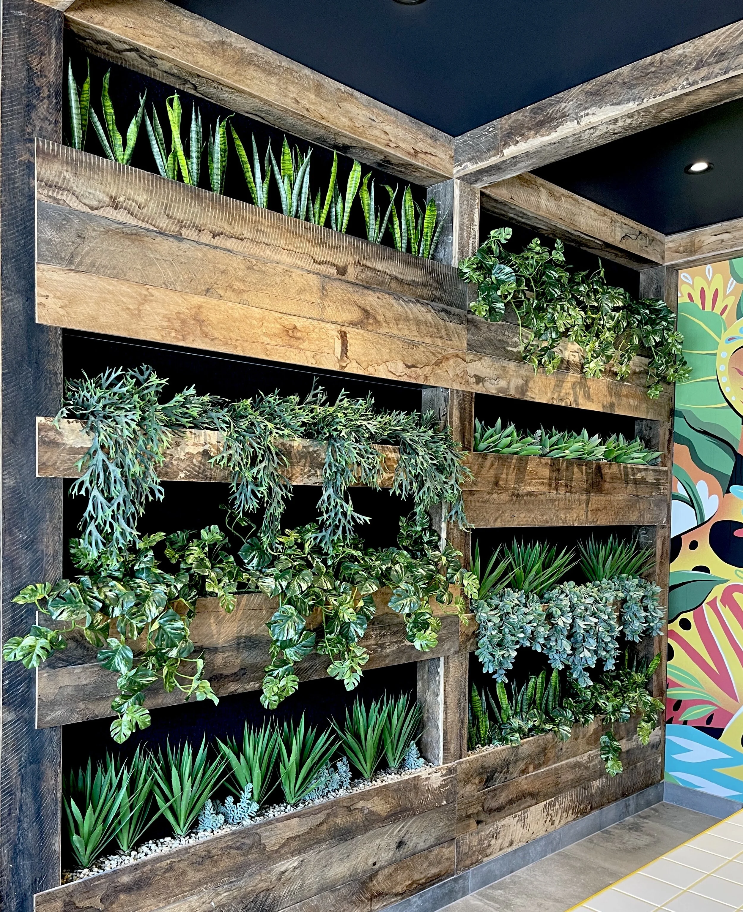 GYG CASULA PLANT WALL.jpeg