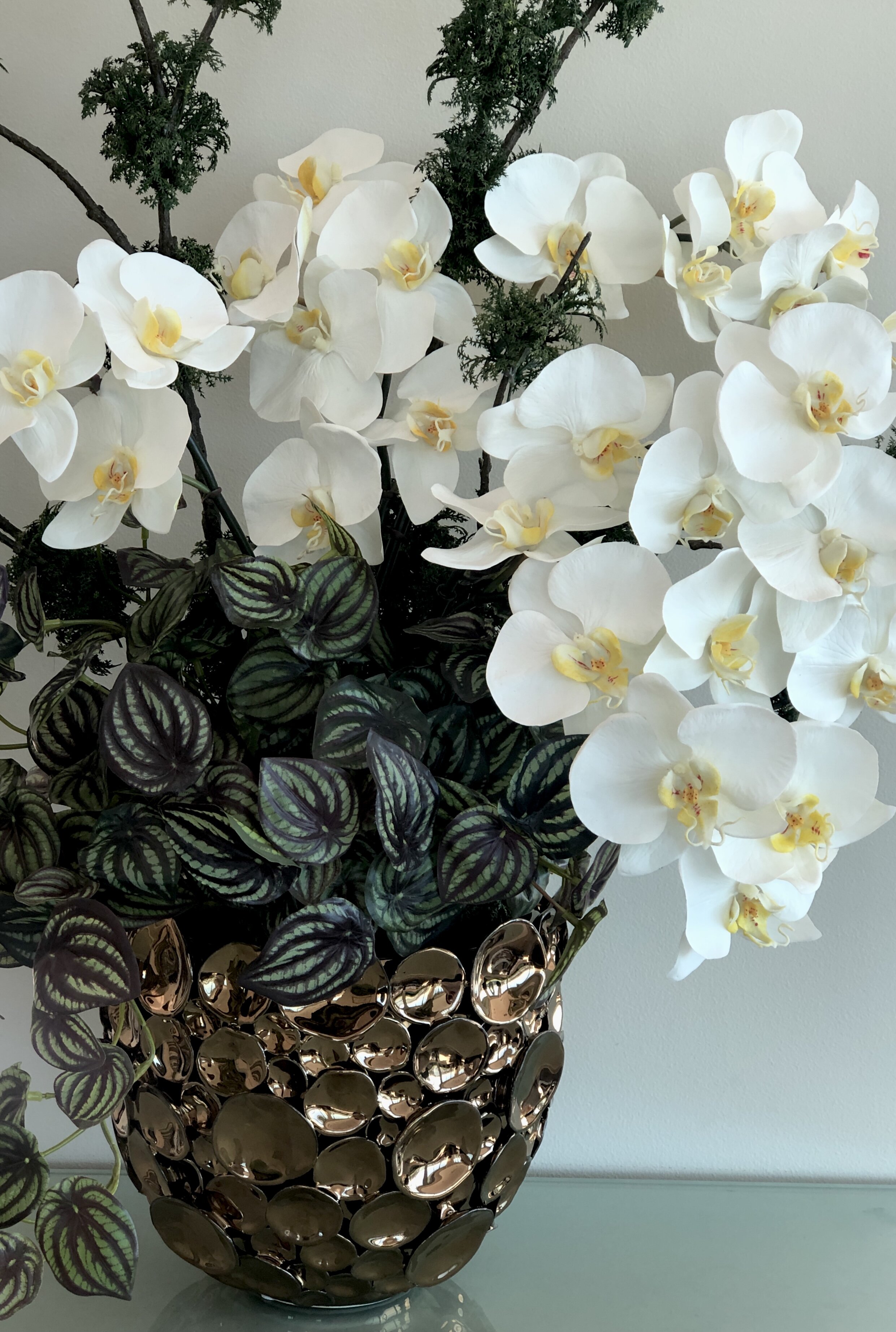 WOOLOOMOOLOO ORCHID POT.jpg