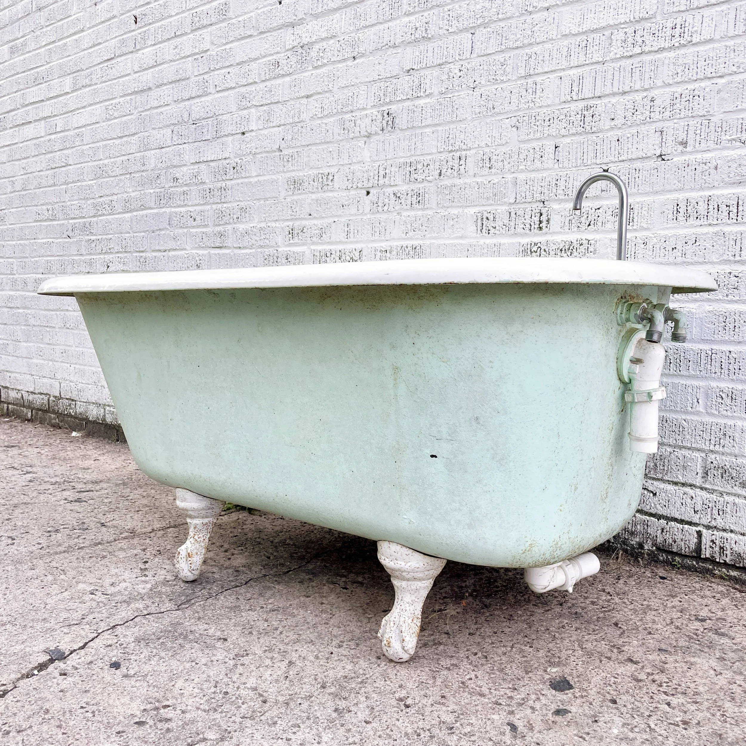 IMG_7229.jpeg
