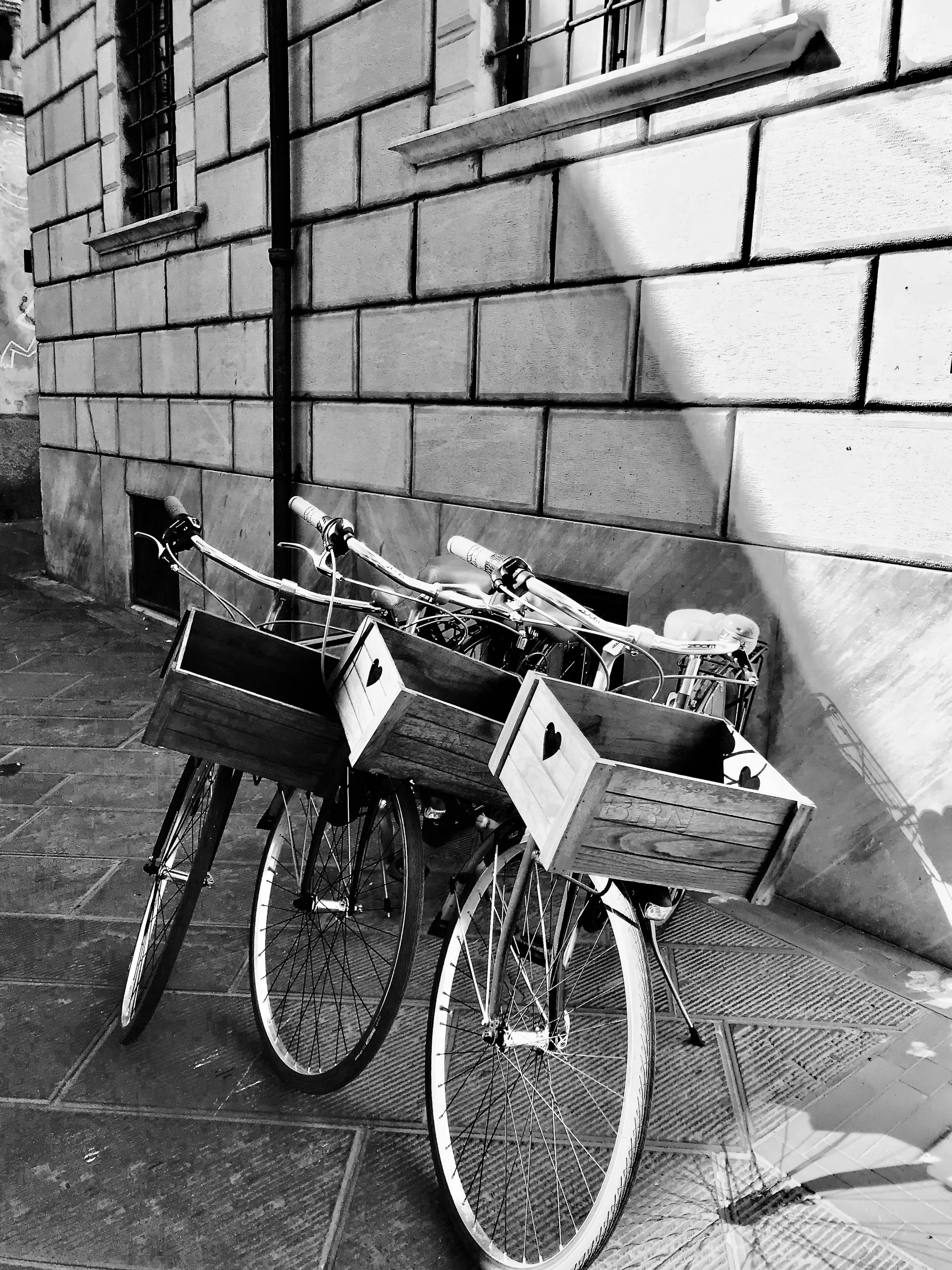 bikes