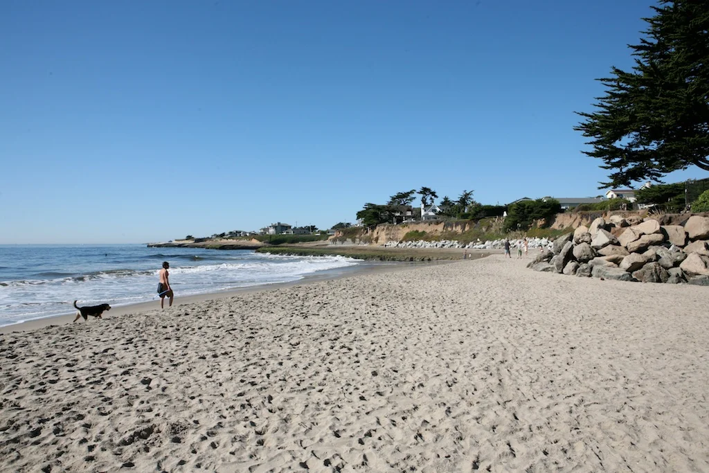 Our Local Beach