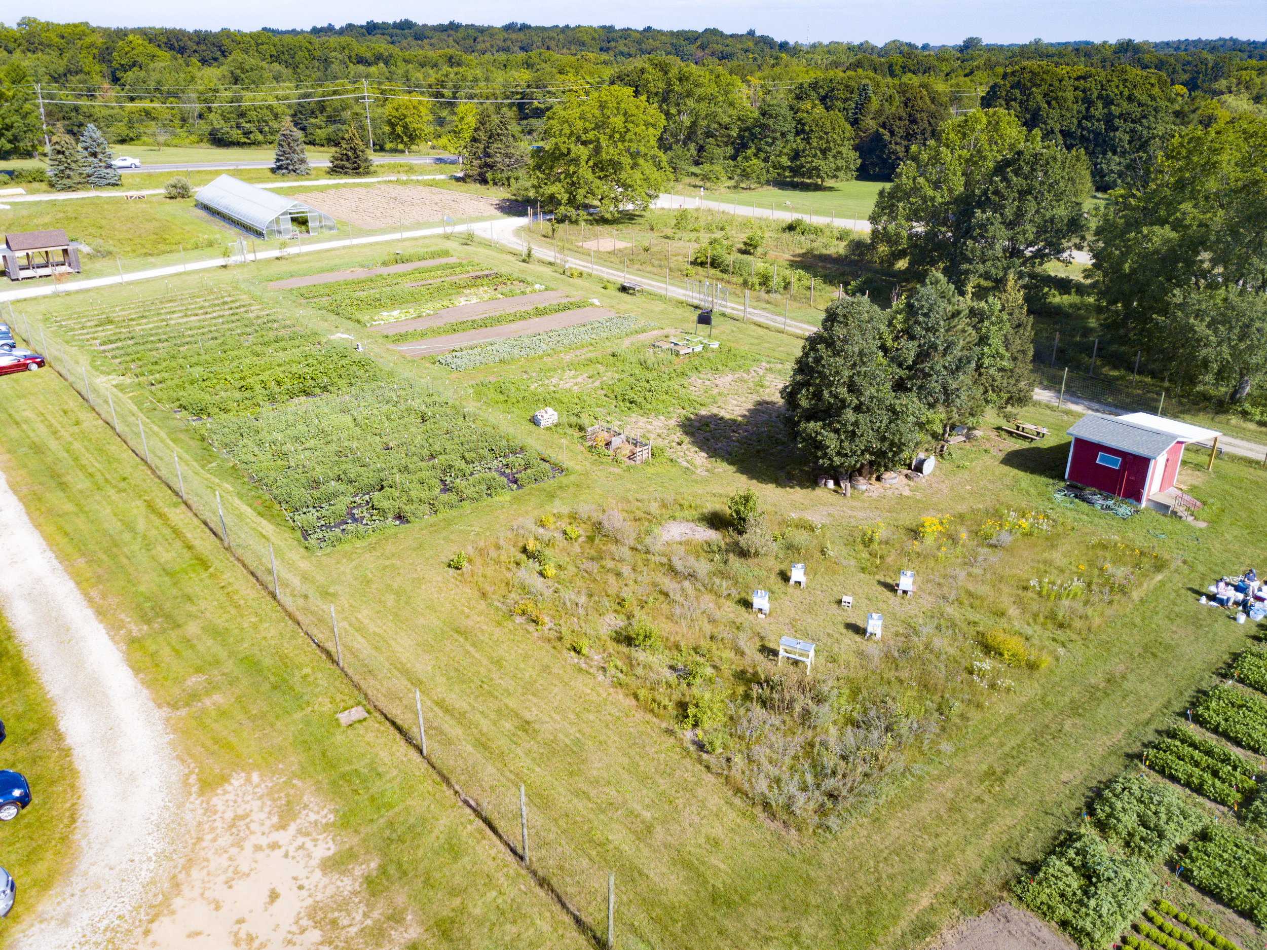 U of M Campus Farm (21 of 23).jpg