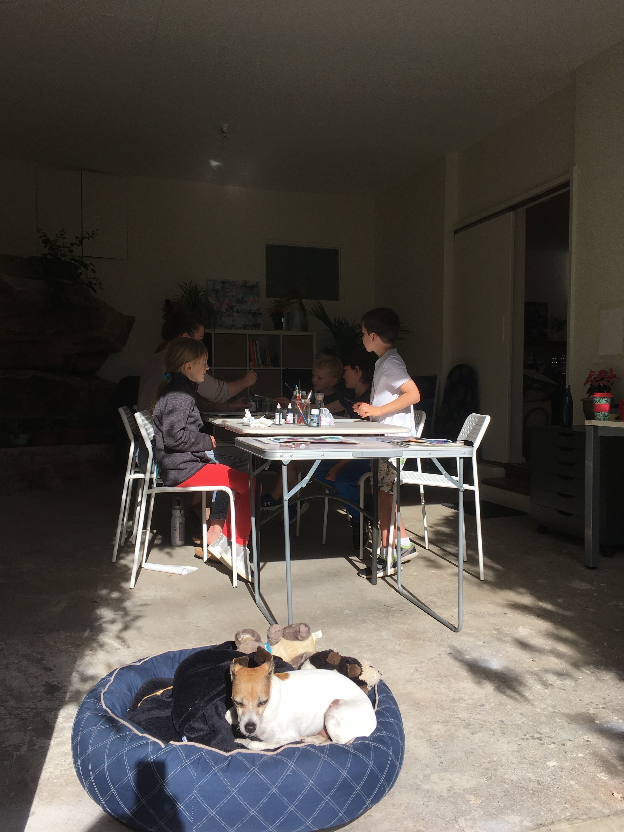Studio doggy enjoying the sunshine