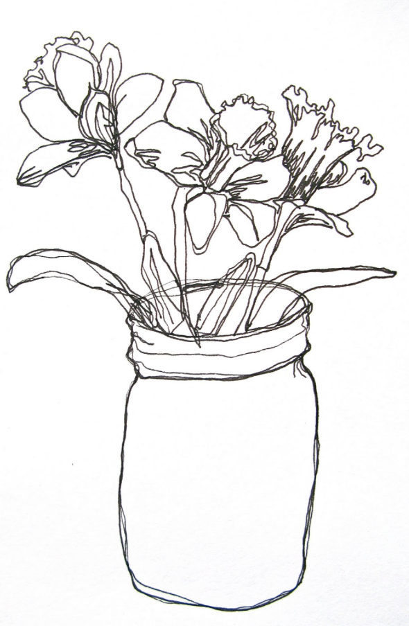 Continuous Line Daffodils by corrieberrypie.blogspot.com.au