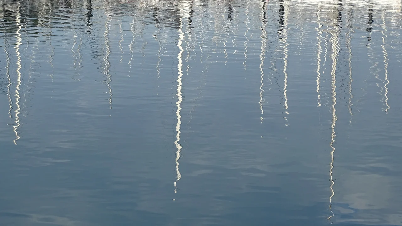 DSC09613.jpg