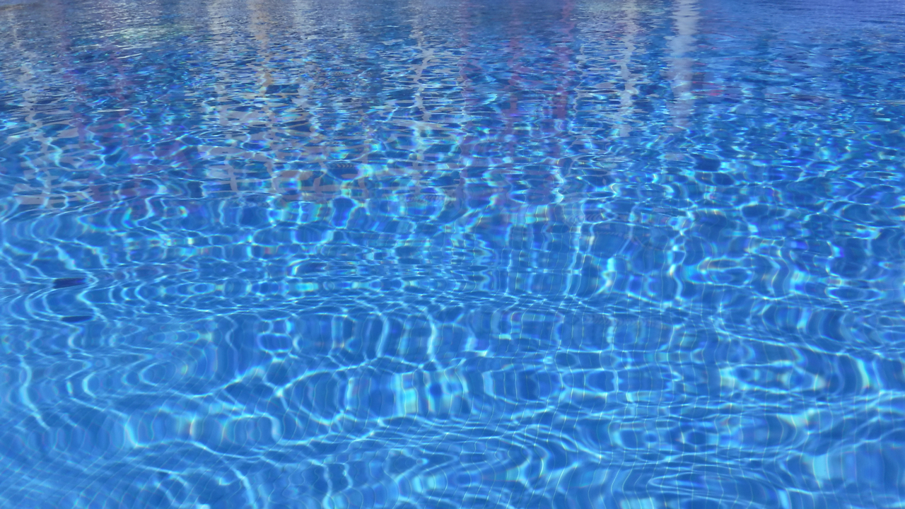 DSCF0078.jpg