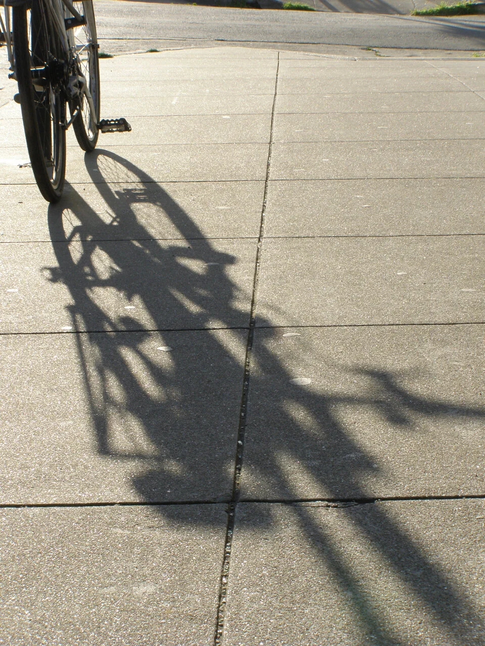 P2150162.jpg