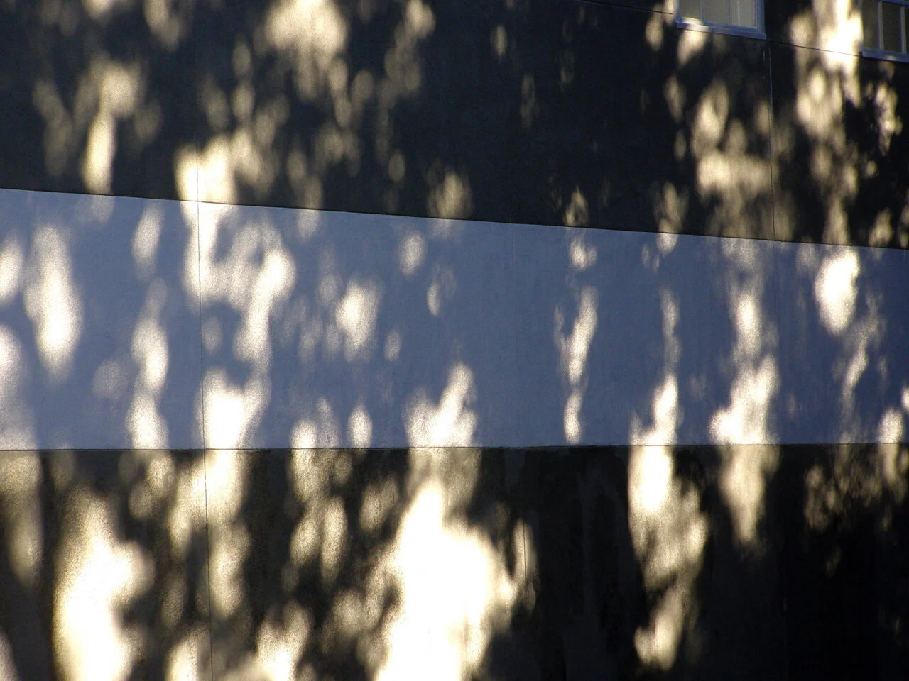 P9030150.jpg