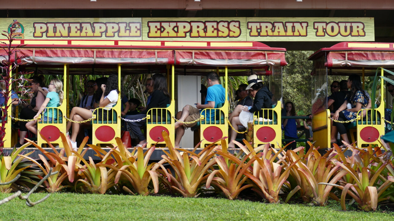 Dole Plantation Express Train Ride