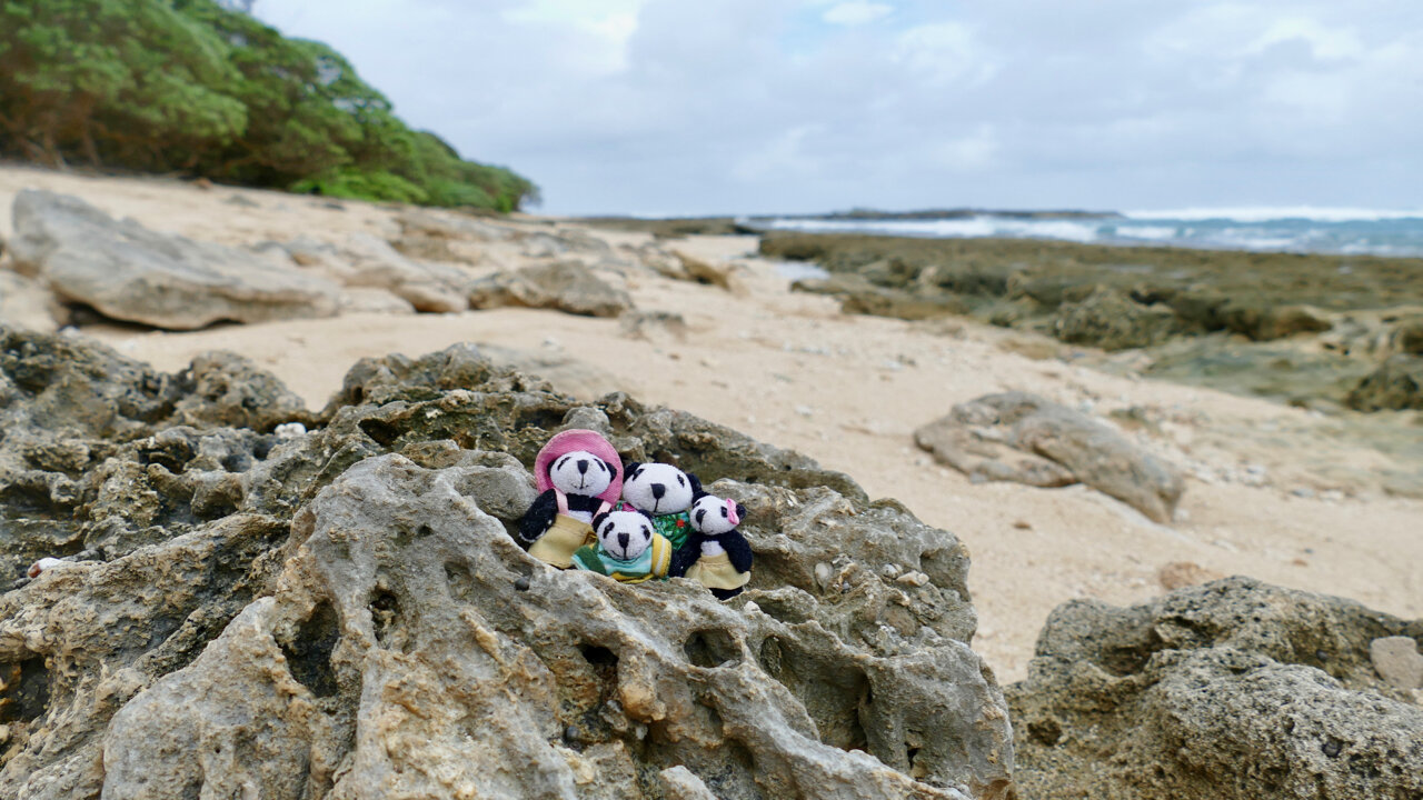 The Pandafords visit Kaihalulu Beach