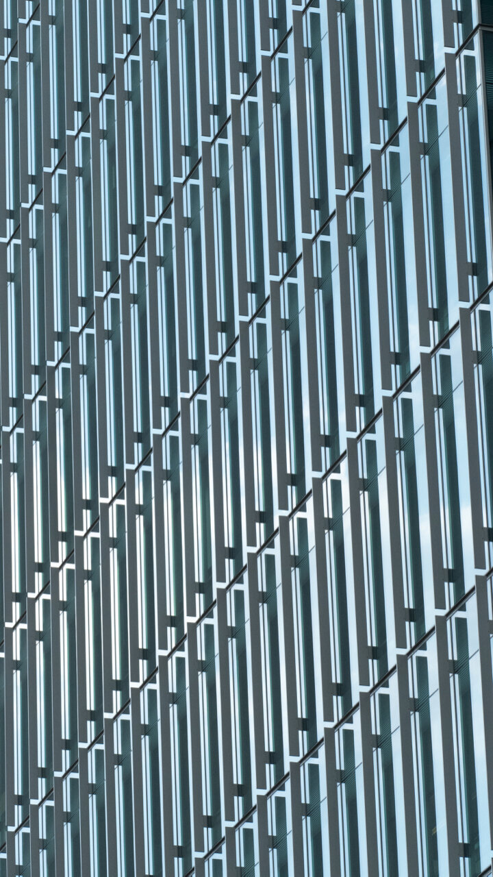 P1050291.jpg