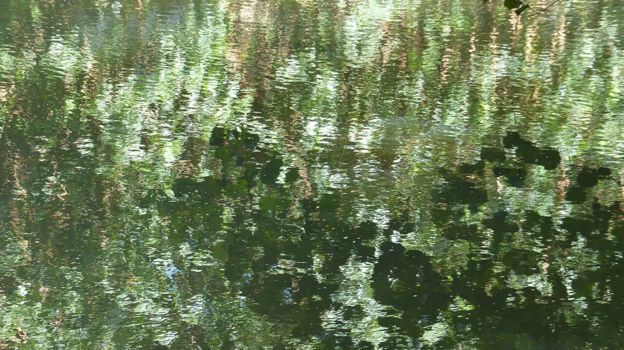 P1030103.jpg
