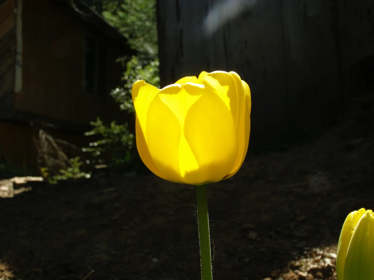P4250036.jpg