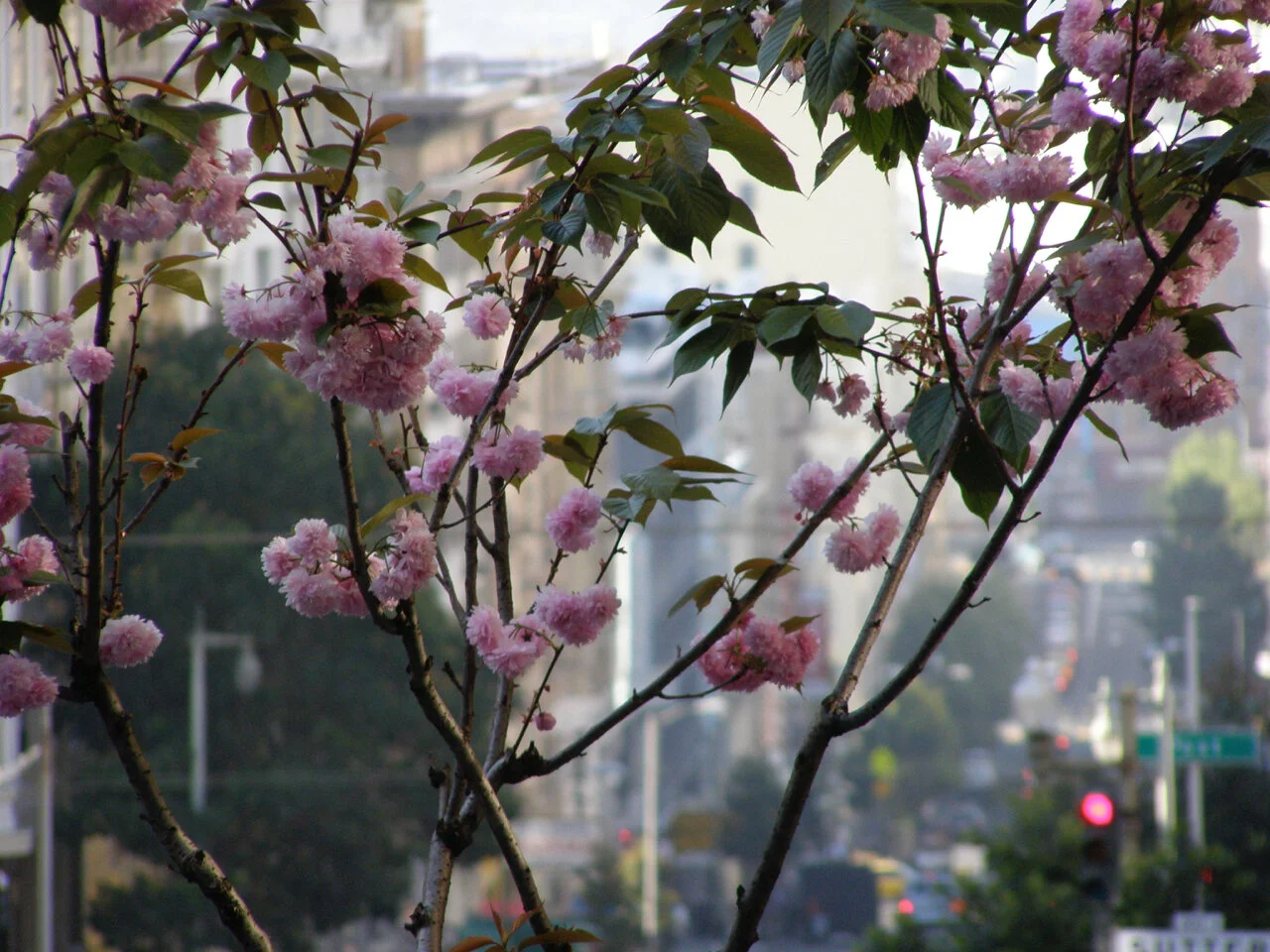 P4270055.jpg