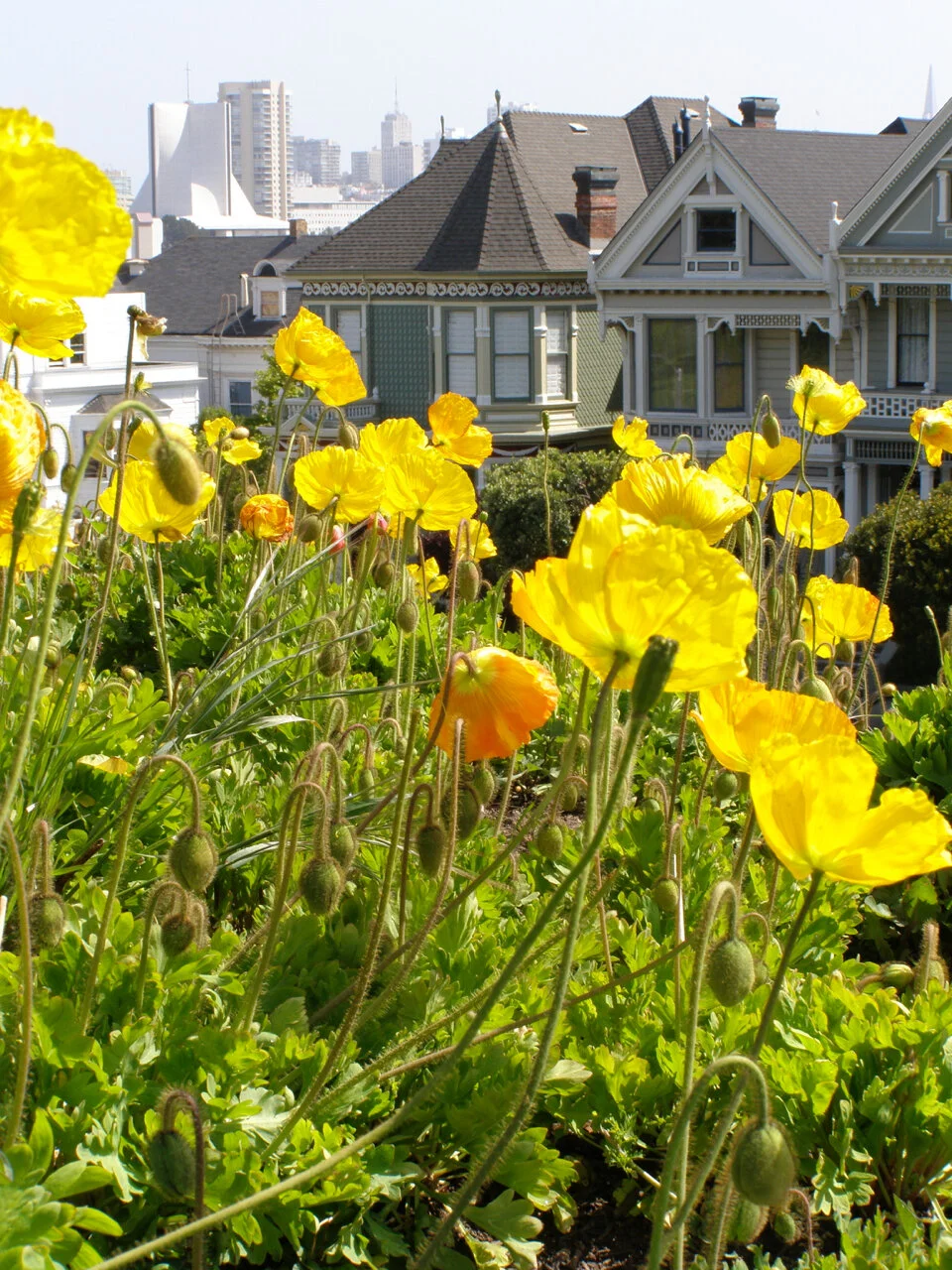 P5050034.jpg