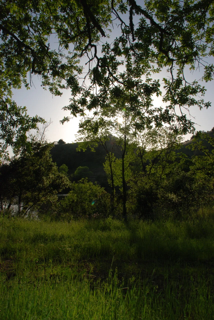 DSC_0188.jpg