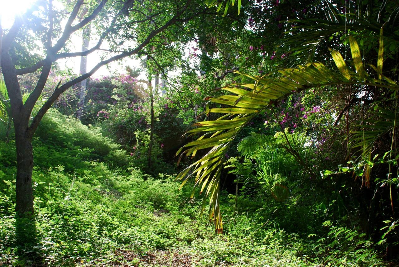 DSC_052909_0212.jpg