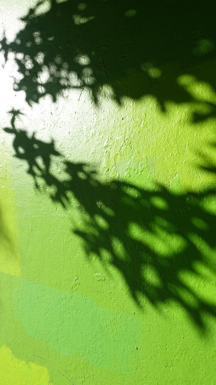 DSC07735.jpg