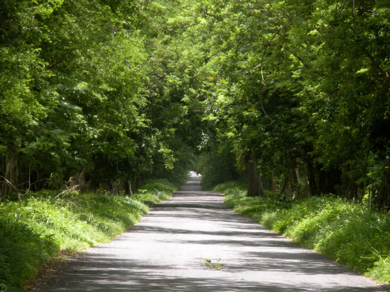 DSCN2717.jpg
