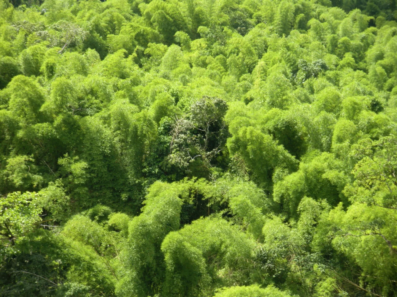 DSCN3059.jpg