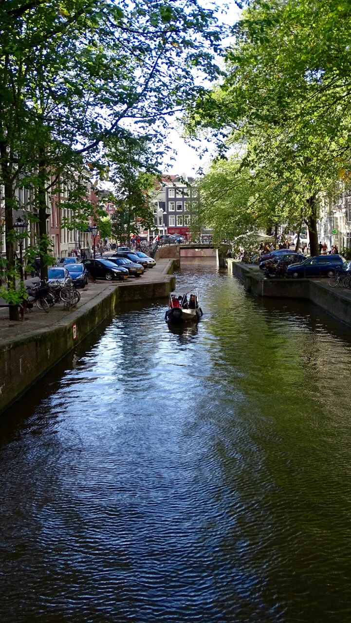 DSC00622.jpg