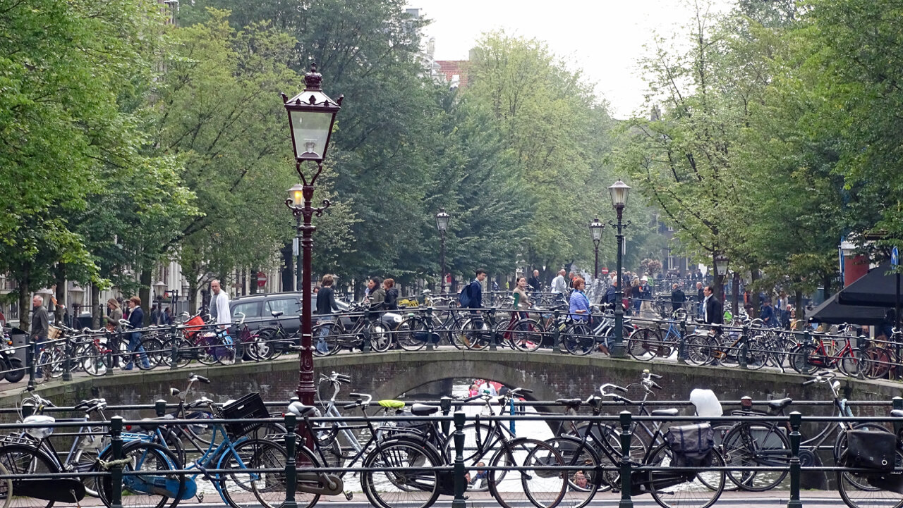 DSC00744.jpg
