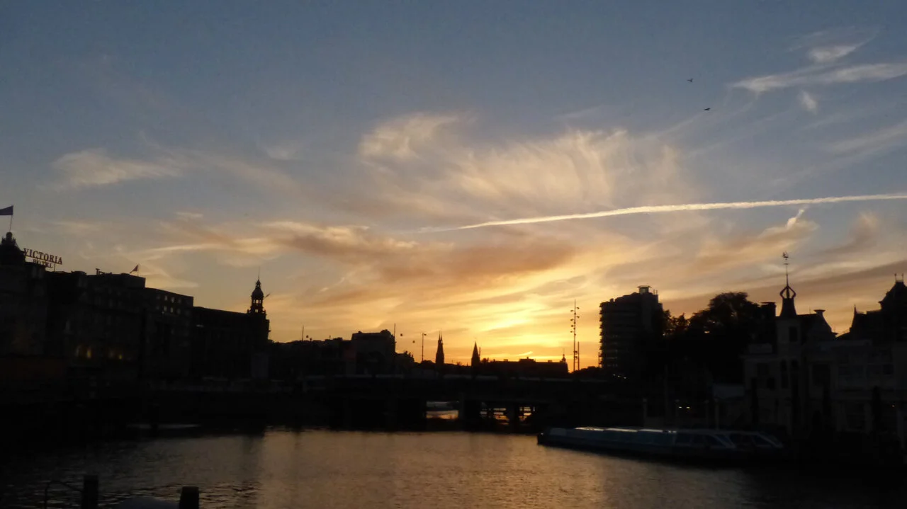 P1030544.jpg