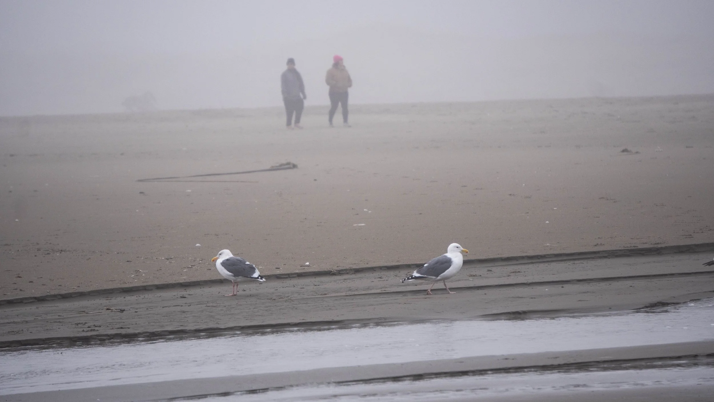 10302021DSC00622OR.jpg