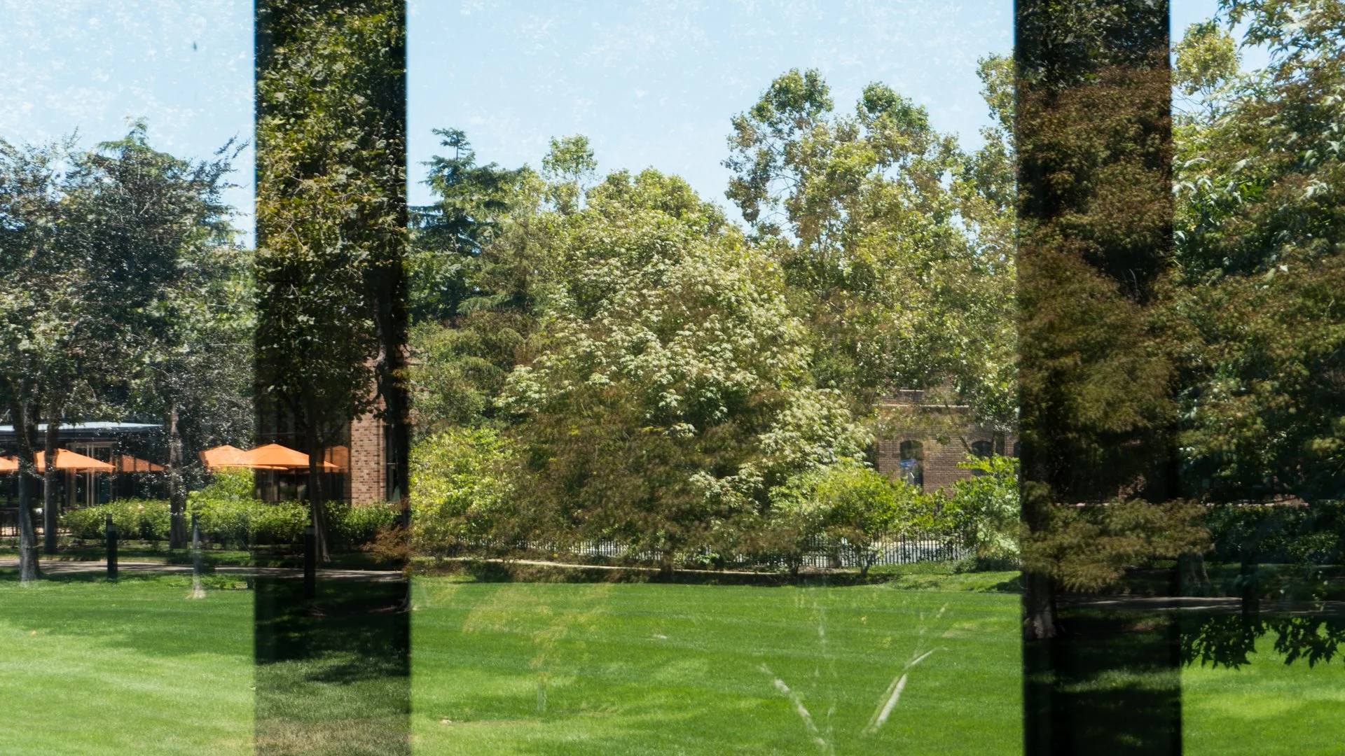 07082022DSC01725SF.jpg