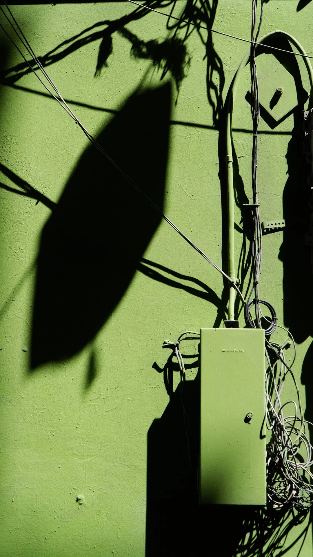 09052022DSC02544SF.jpg