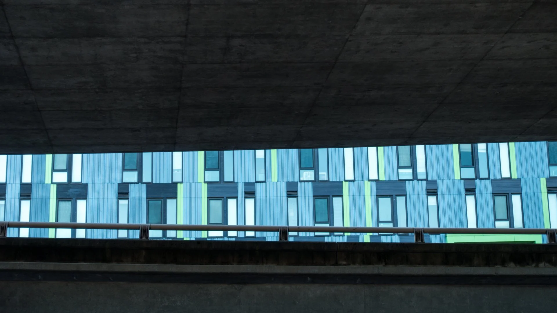 11092022DSC07217SF.jpg
