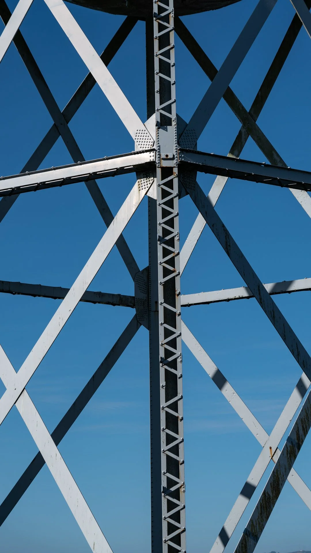 11252022DSE08183SF.jpg